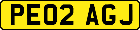 PE02AGJ