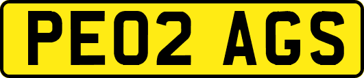 PE02AGS