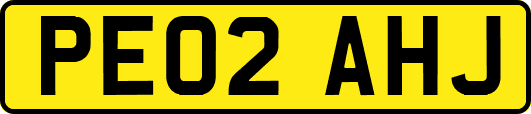 PE02AHJ