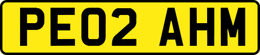 PE02AHM