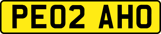 PE02AHO