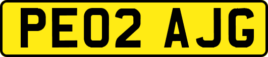 PE02AJG