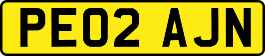 PE02AJN