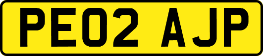 PE02AJP