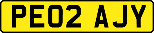 PE02AJY