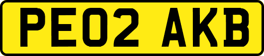 PE02AKB