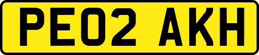 PE02AKH