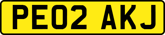 PE02AKJ