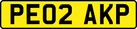 PE02AKP