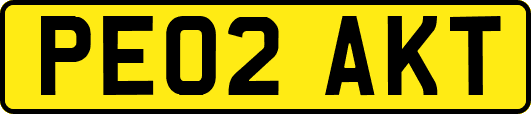 PE02AKT