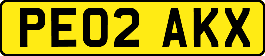 PE02AKX