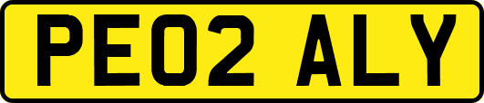 PE02ALY