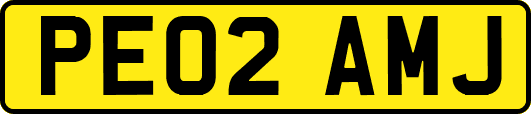 PE02AMJ