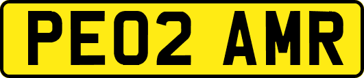 PE02AMR