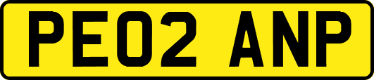 PE02ANP