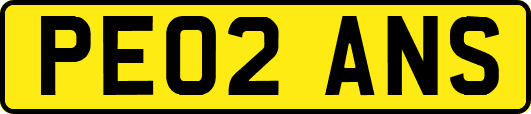 PE02ANS