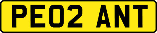 PE02ANT