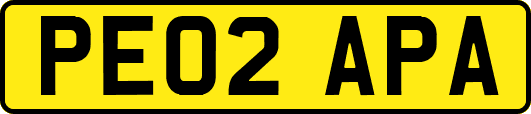 PE02APA