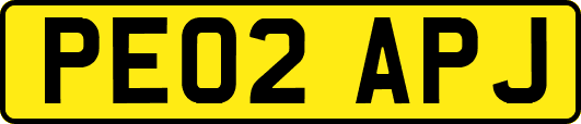 PE02APJ