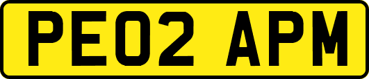 PE02APM
