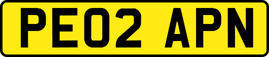 PE02APN