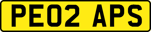 PE02APS
