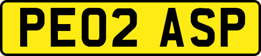 PE02ASP