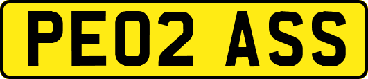 PE02ASS