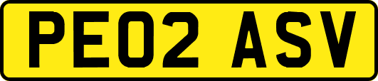 PE02ASV