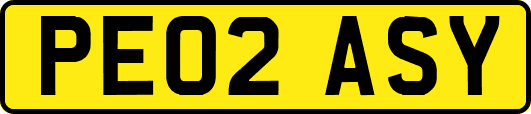 PE02ASY