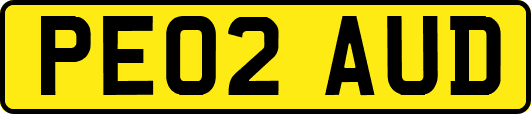PE02AUD