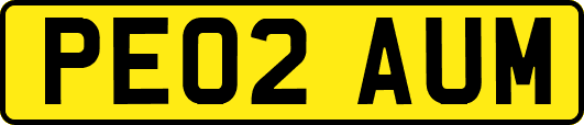 PE02AUM