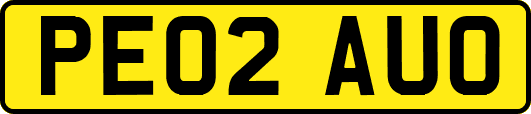 PE02AUO