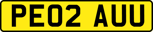 PE02AUU
