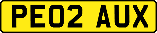 PE02AUX