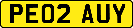 PE02AUY