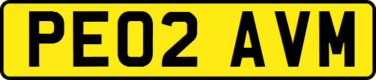 PE02AVM