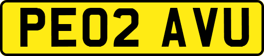 PE02AVU