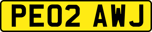 PE02AWJ