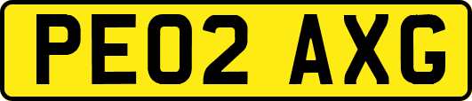 PE02AXG