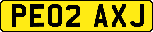 PE02AXJ