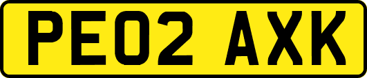 PE02AXK