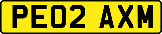 PE02AXM