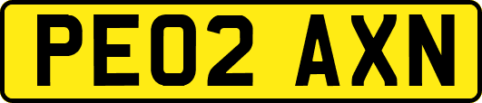 PE02AXN