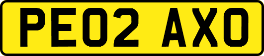 PE02AXO