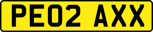 PE02AXX