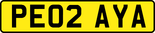 PE02AYA