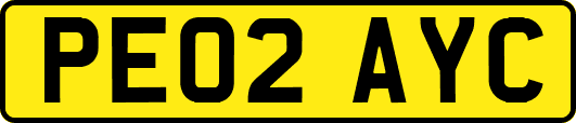 PE02AYC