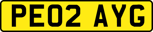 PE02AYG