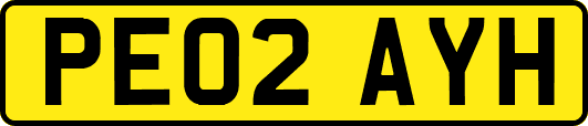 PE02AYH